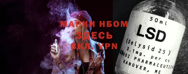 молекула духа Пестово