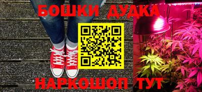 прущие грибы Апрелевка