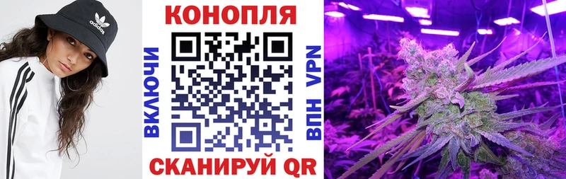 Марихуана марихуана даркнет сайт KRAKEN ONION Белгород